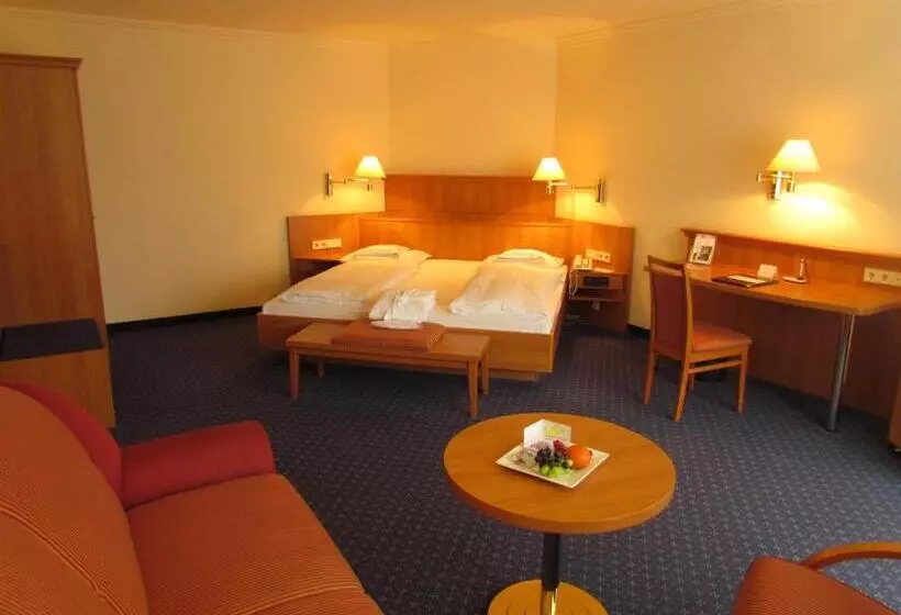 اتاق سوپریور با تخت بزرگ, Parkhotel Bad Homburg