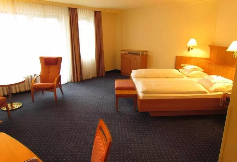 اتاق سوپریور با تخت بزرگ, Parkhotel Bad Homburg
