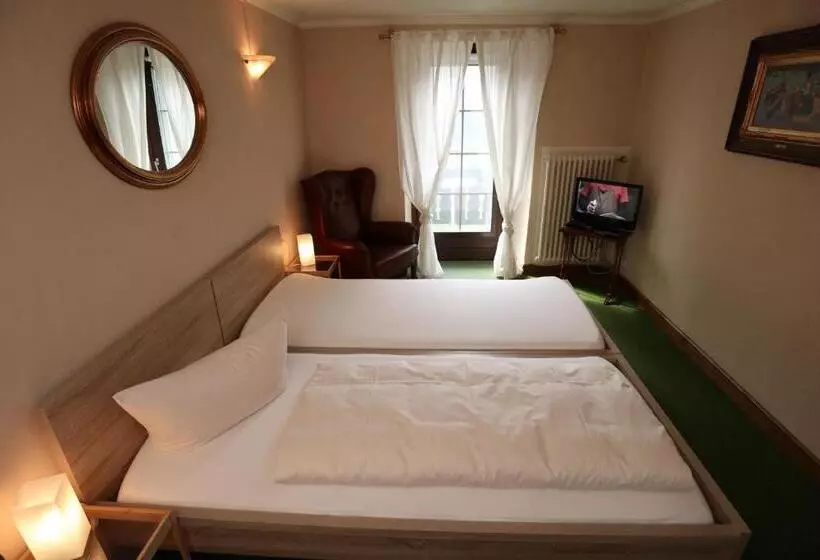 Economy Single Room, Schwarzwaldhotel Stollen