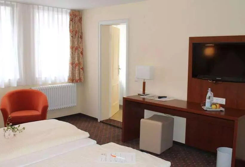 コンフォートルーム, Stadt Gut Hotel Gasthof Goldener Adler