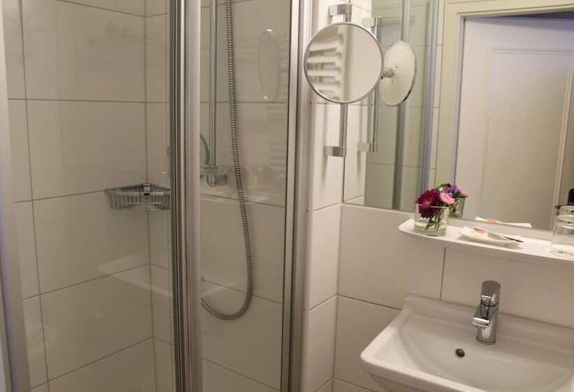 スーペリアシングルルーム, Stadt Gut Hotel Gasthof Goldener Adler