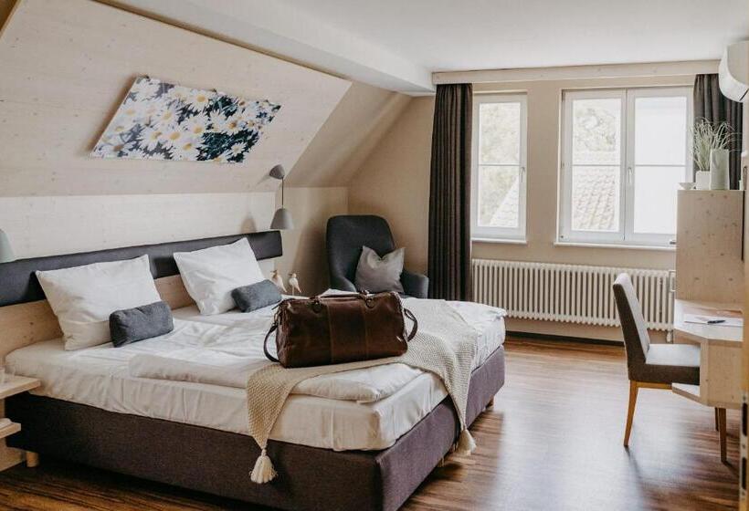 舒适型单人间, Maiers Johanniterbad Ringhotel Rottweil