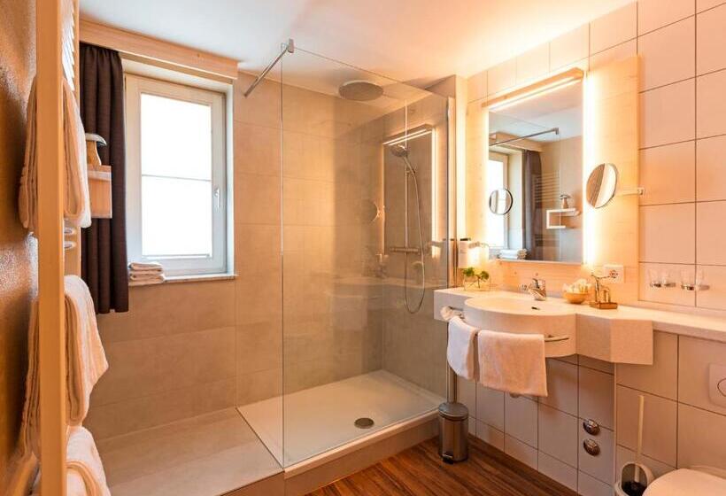 舒适型单人间, Maiers Johanniterbad Ringhotel Rottweil