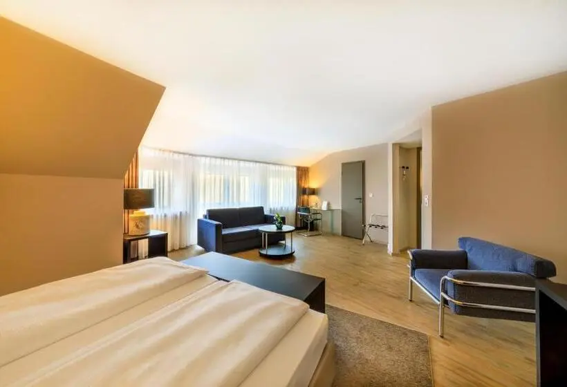 デラックスルーム, relexa hotel Schatten Stuttgart