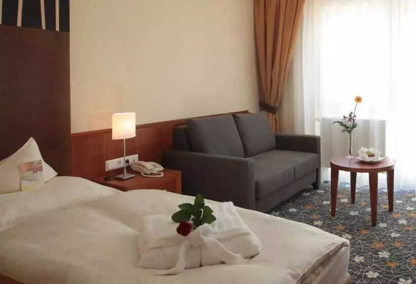 اتاق سوپریور یک تخته, Ringhotel Bundschu