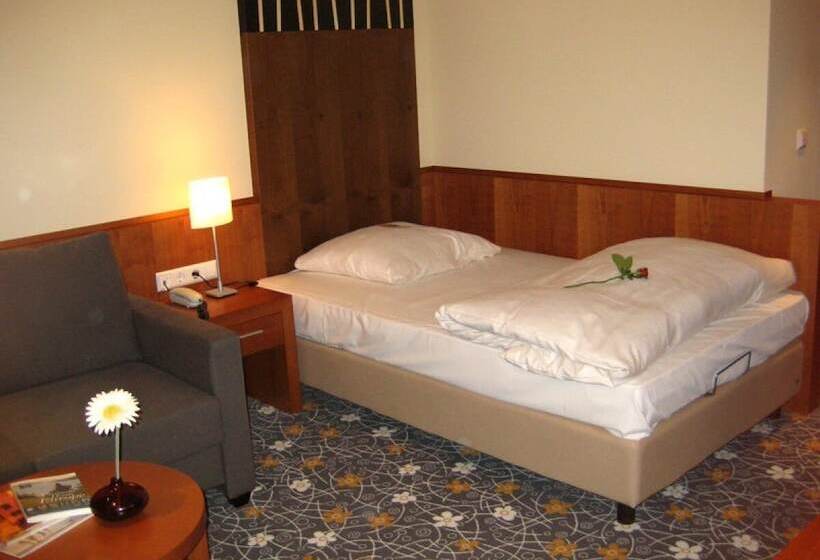 اتاق سوپریور یک تخته, Ringhotel Bundschu