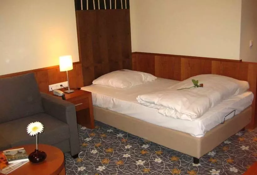 اتاق سوپریور یک تخته, Ringhotel Bundschu