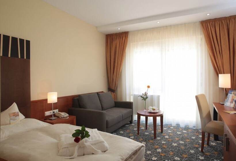 اتاق سوپریور یک تخته, Ringhotel Bundschu