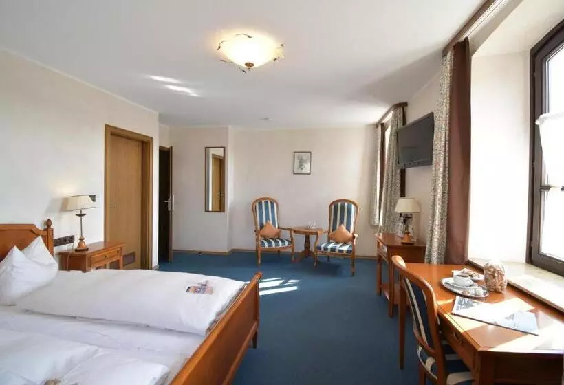 コンフォートシングルルーム, Akzent Hotel Franziskaner