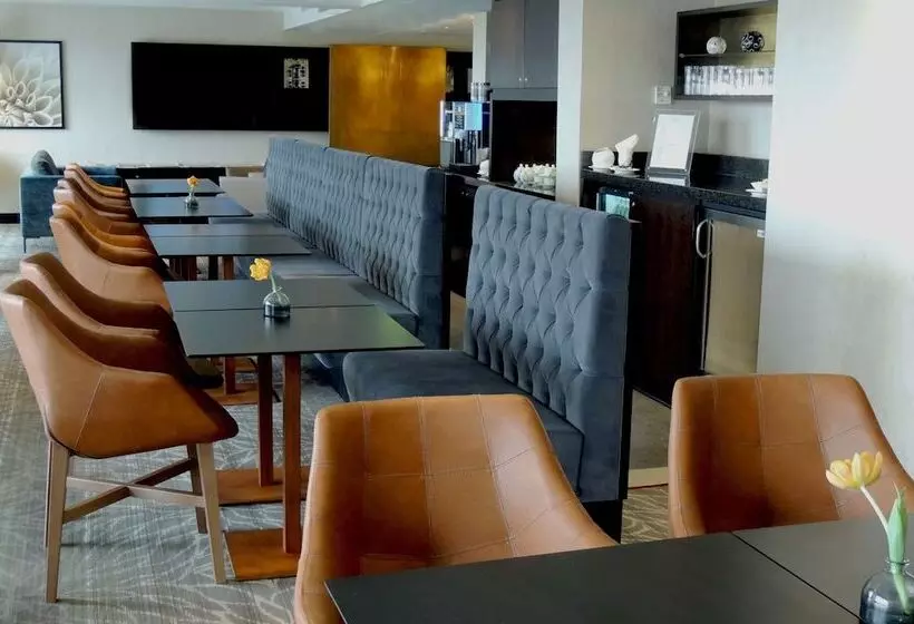 Camera Executive, Hilton Munich Park