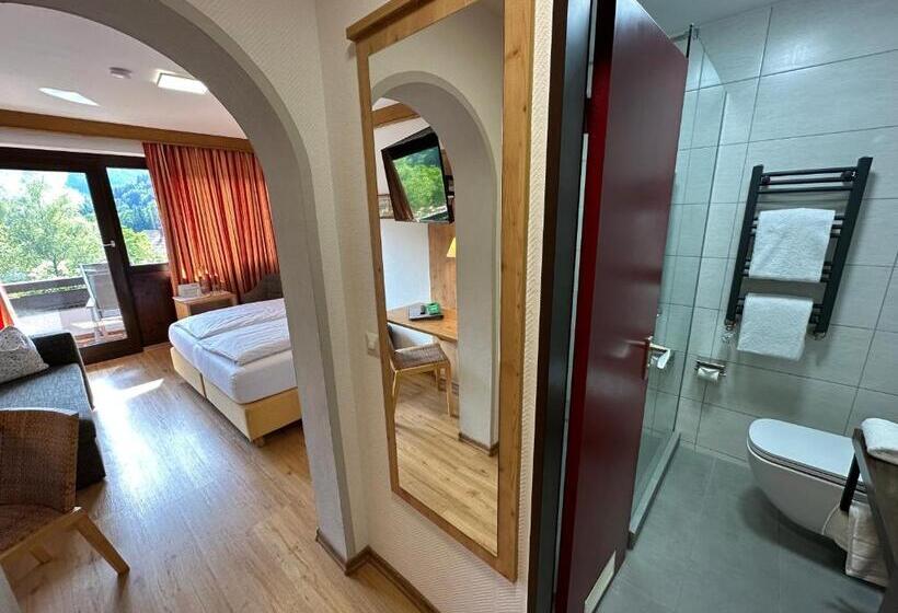 Номер Стандарт, Landhotel Maiergschwendt