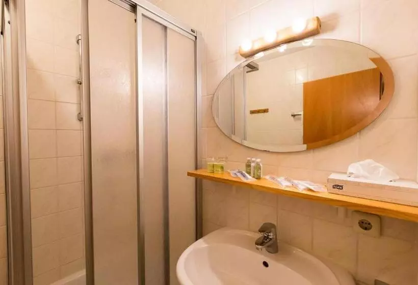 اتاق استاندارد یک نفره, Landhotel Maiergschwendt
