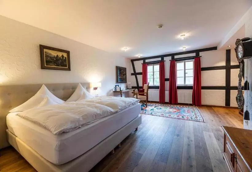スーペリアールーム, Neumühle Resort & Spa