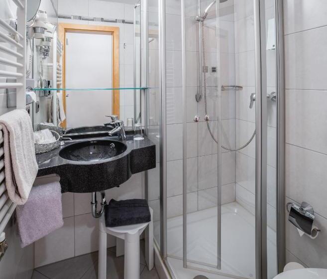 스탠다드 싱글 룸, Passauer Wolf