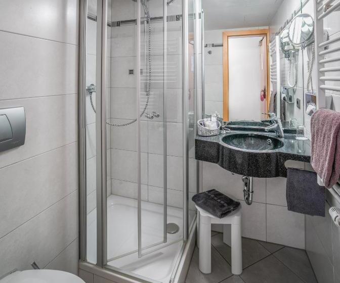 컴포트 싱글 룸, Passauer Wolf