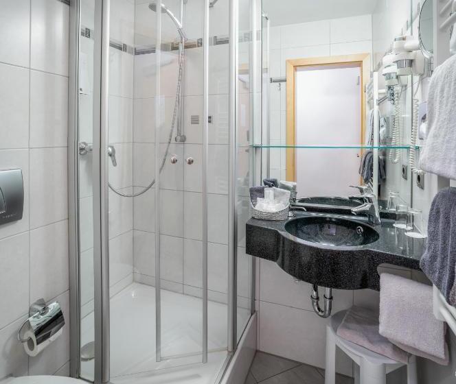 싱글 디럭스 룸, Passauer Wolf