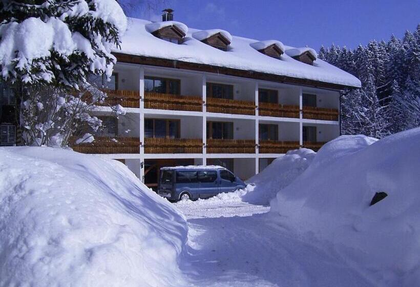 스탠다드 싱글 룸, Pfeiffermühle