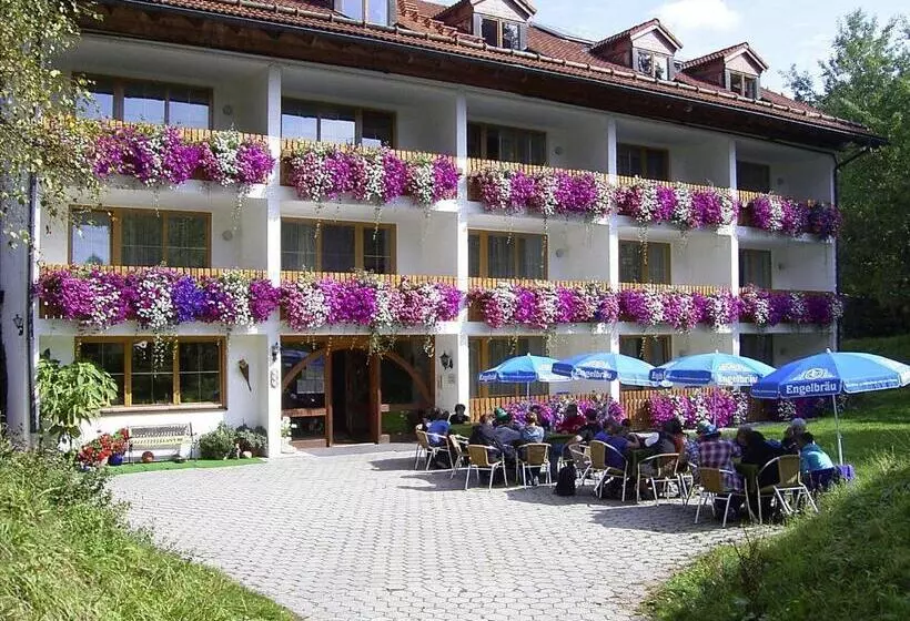 Quarto Estandar, Pfeiffermühle