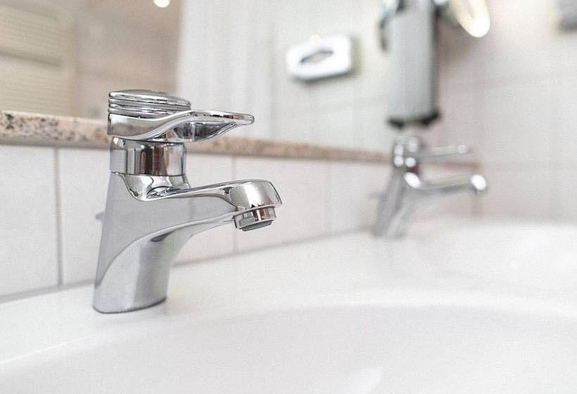 Полулюкс, Plaza Hotel Buchhorner Hof