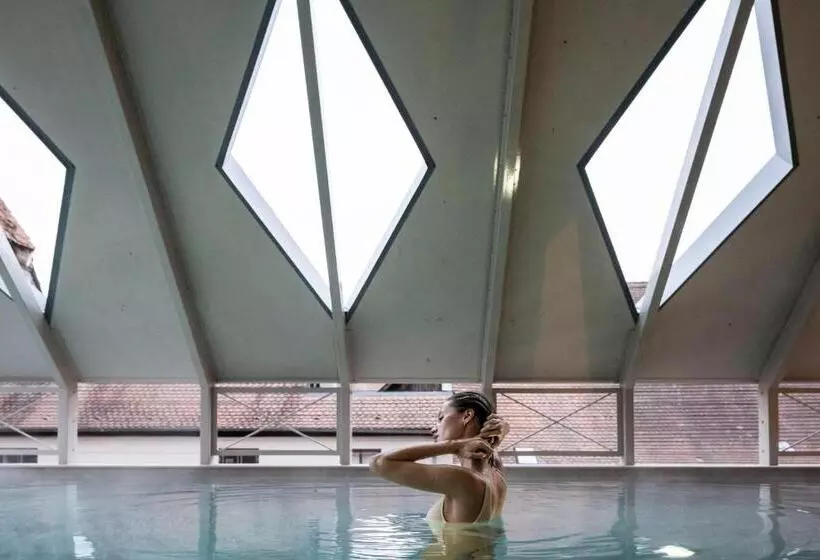 اتاق سوپریور, & Spa Goldene Rose