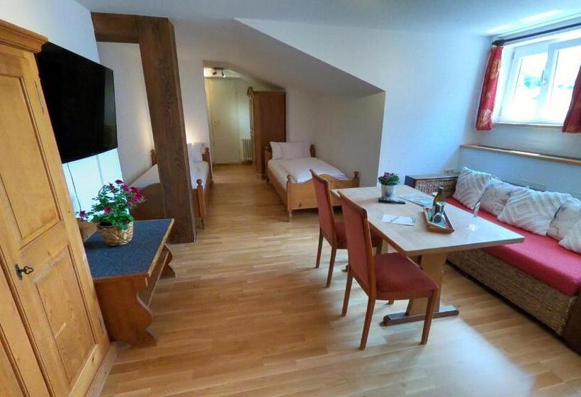 4인용 스탠다드 룸, Terofal