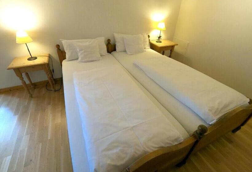 4인용 스탠다드 룸, Terofal