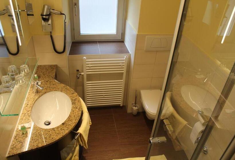 스탠다드 싱글 룸, Wirtshaus & Hotel Goldener Greif