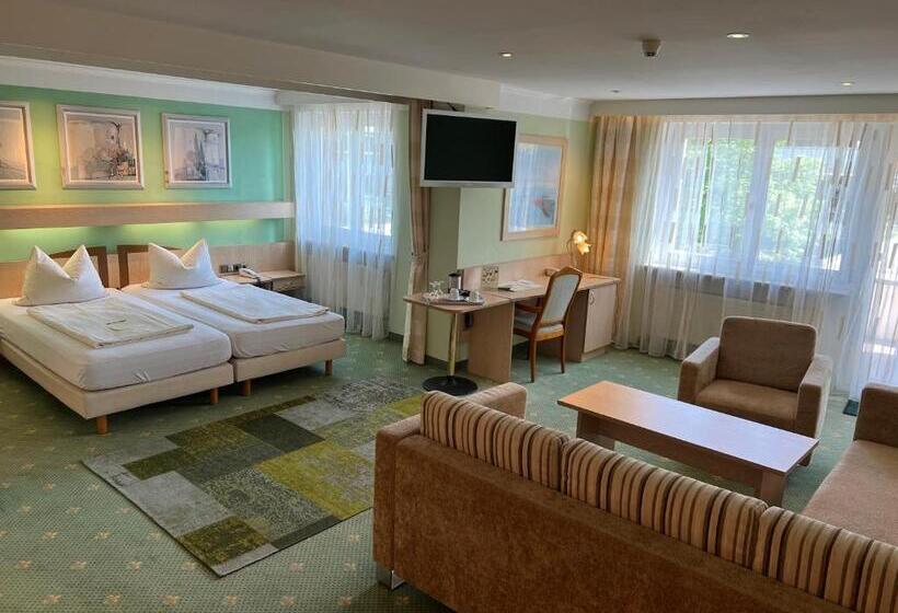 Полулюкс Одноместный с Террасой, Parkhotel Crombach