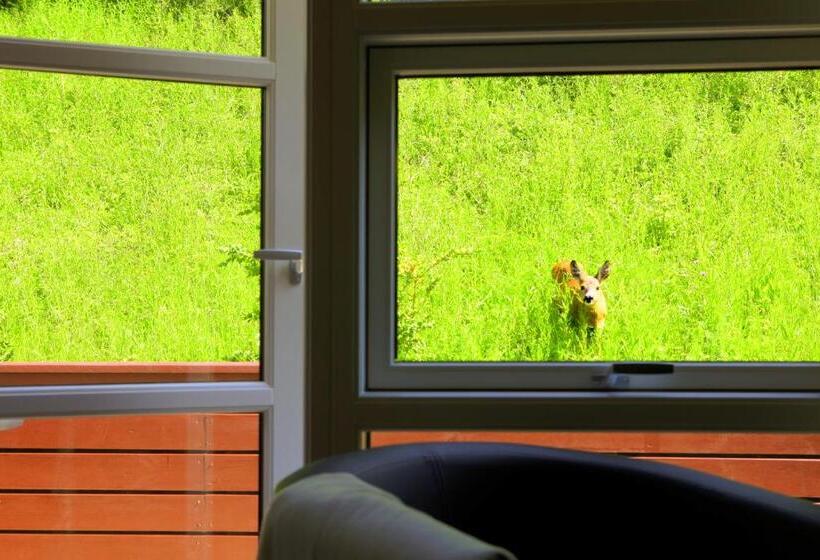 חדר סטנדרט, Bromølle Kro