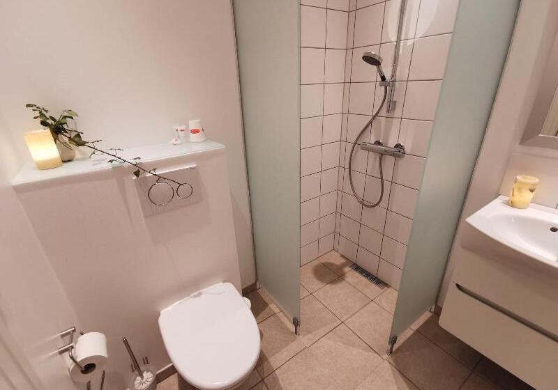 غرفة قياسية فردية, Dagmar