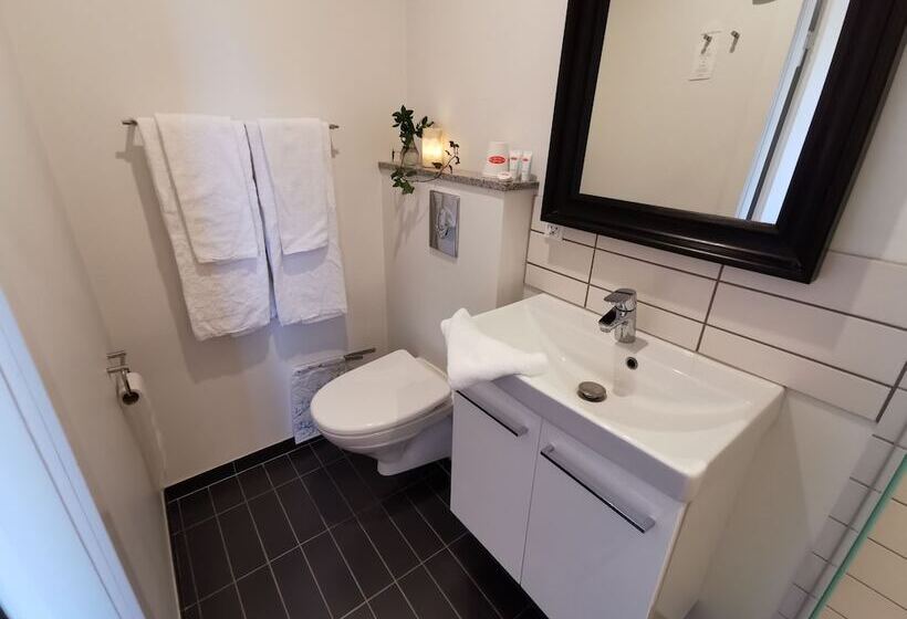 غرفة قياسية, Dagmar