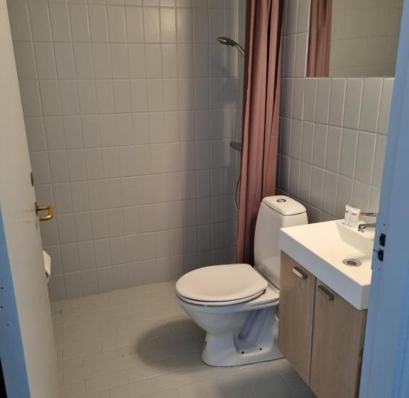 Cameră Standard, Dronninglund