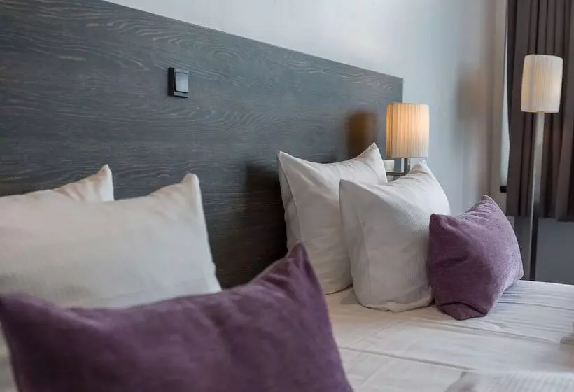 اتاق سوپریور با تخت بزرگ, Profilhotels Mercur
