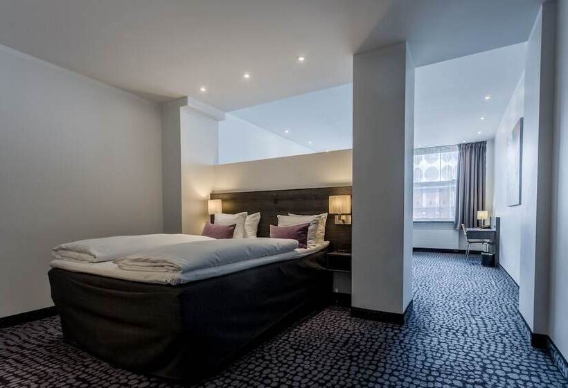 带大床的高级房间, Profilhotels Mercur