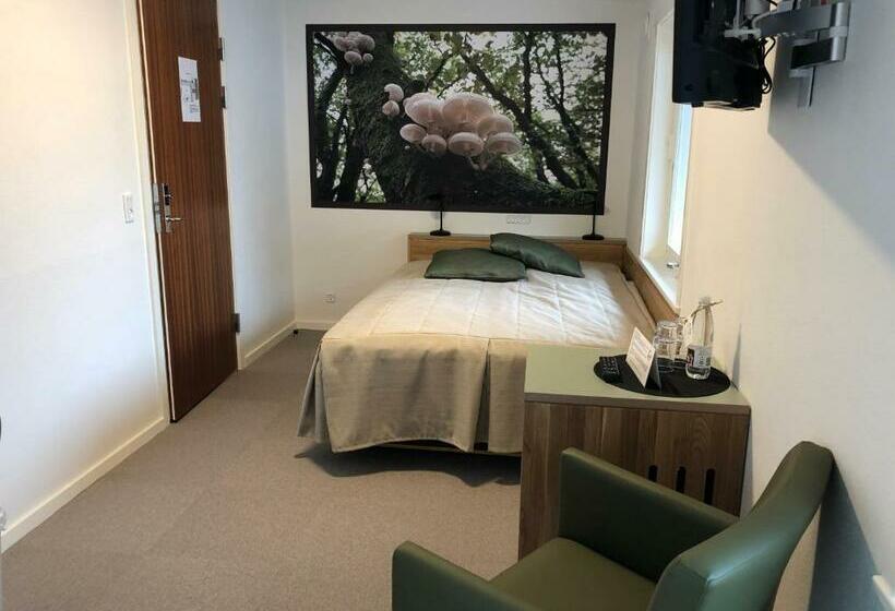 חדר בסיסי, Rold Storkro