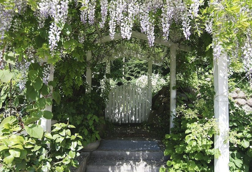 Номер Стандарт, Villa Brinkly