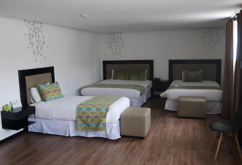 １ベッドルームアパートメント, Embassy Quito