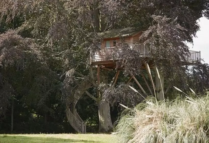 デラックスキャビン, Chateau D'audrieu