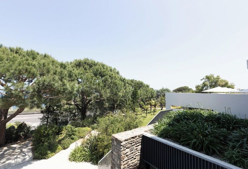 스탠다드 룸 공원 전망, Grand Hotel Du Golfe