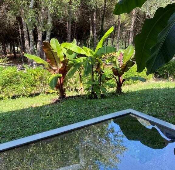 高级大房间, Golf