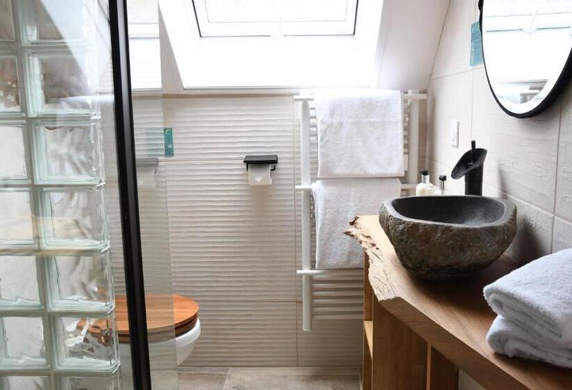 غرفة قياسية ذات أسقف منحدرة, Le Moulin Des Ruats