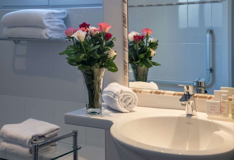 带城市景观的高级房间, Bw Premier Collection Mondial