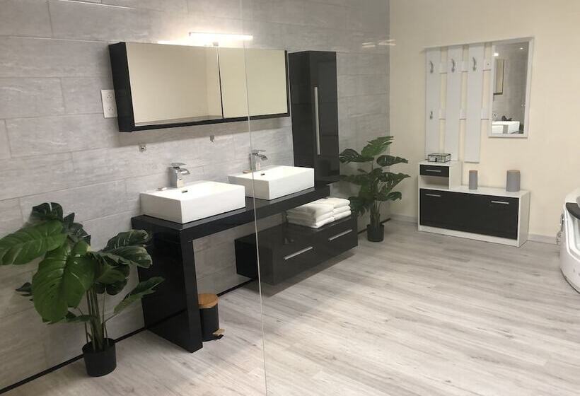 带1个卧室的豪华公寓, Hôtel Saint Albert