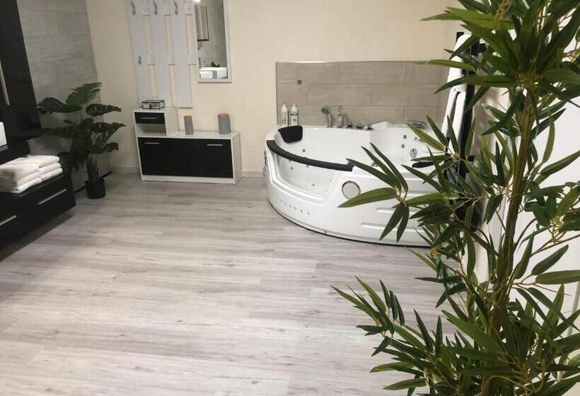 带1个卧室的豪华公寓, Hôtel Saint Albert