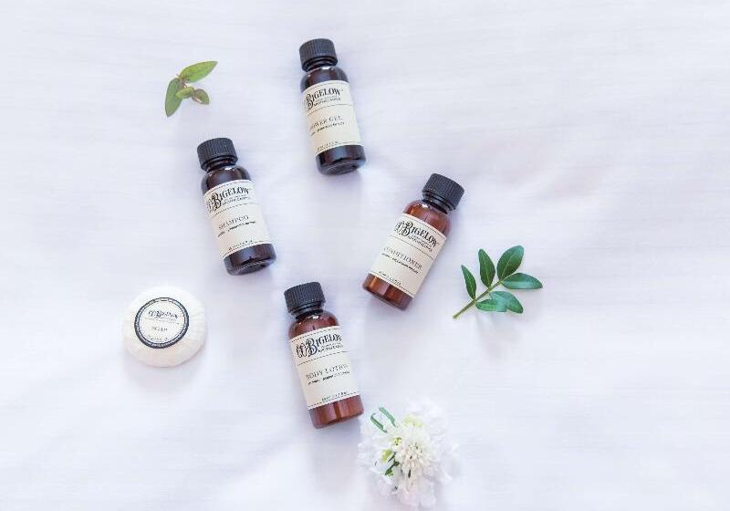 클래식 룸, Pullman Toulouse Airport