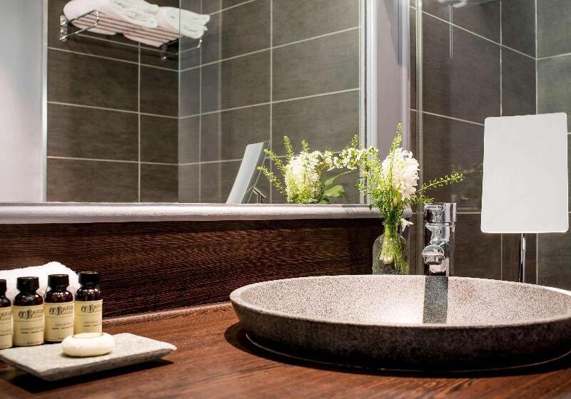 클래식 룸, Pullman Toulouse Airport