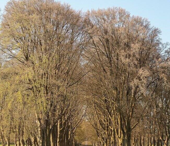 Люкс Мастер, Lucknam Park