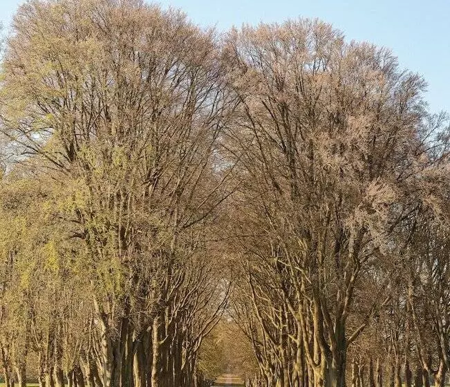 マスタースイートルーム, Lucknam Park