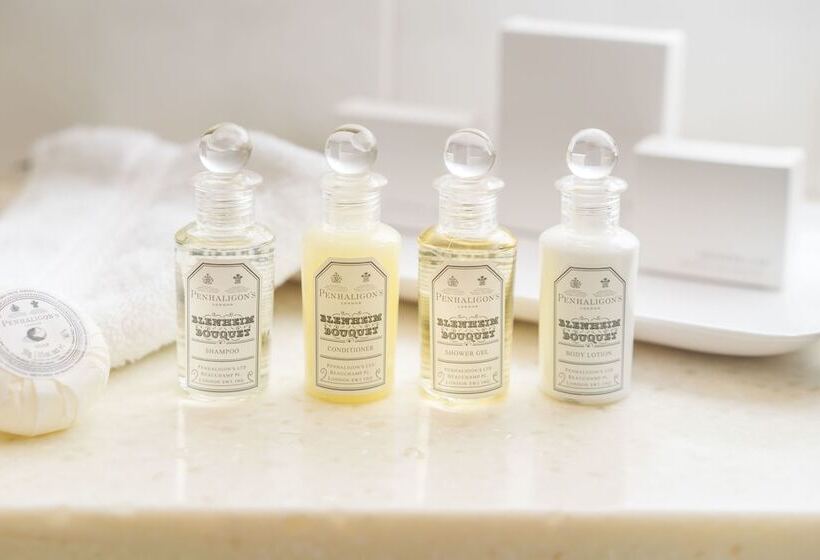 Номер Superior Вид на Сад, The Roseate Villa Bath