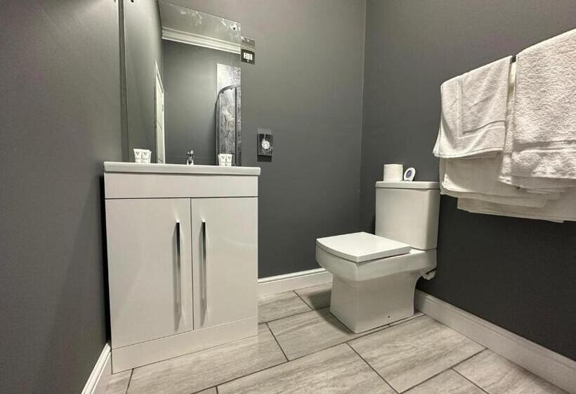 带大床的标准工作室, Scole Inn